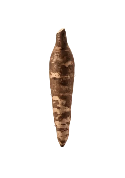 Imagen PNG para descargar